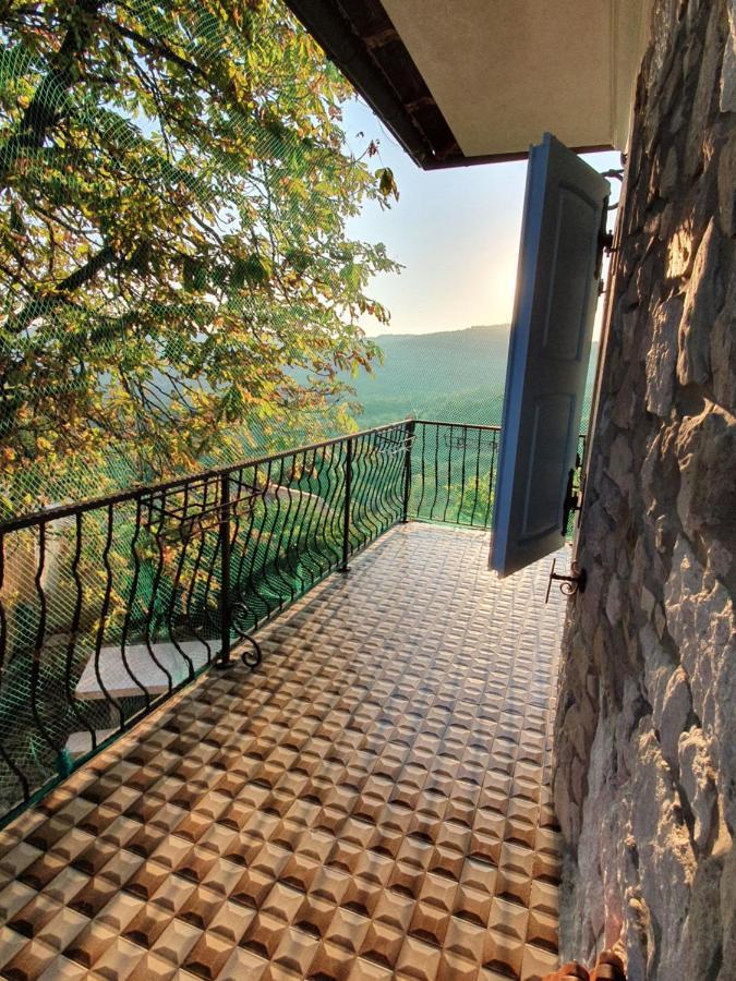 Casa Prodan Appartement Buzet Buitenkant foto